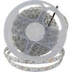 Ookay Beyaz Ookay 4040 Şerit LED (Iç Mekan) Beyaz - 5 m