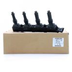 Opel Corsa C 1.2-1.4 Twinport Atesleme Bobin Gm,1208020