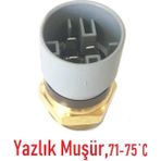 Opel Vectra B Yazlık Radyatör Fan Müşürü,1341042
