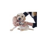 Optana Kedi Köpek Evcil Hayvan Yaylı Tırnak Makası Kavisli Tırnak Düzeltme Kesme Makası