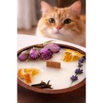 ORANGE CONCEPT Aromaterapi Vanilya Kokulu Mum –%100 Soya Mumu- Portakal, Lavanta, Gül yaprakları, Karanfil (9X3 CM)