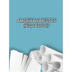 Orbak Kağıtçılık 400 Gr. Amerikan Bristol Kağıt Karton 21X29,7 A4 Ebatında 100 Adet