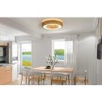 Orbus (ORB-VL7) Uzaktan kumandalı ledli tavan vantilatörü 25w dc motor 55w led sarı 3000k-6500k beyaz ŞEFFAF PERVANE, AHŞAP GÖRÜNÜMLÜ PLASTİK FAN KAPAĞI, HASIR AYARLANABİLİR YAN SEPET