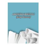 ORCOPY 220 Gr. Amerikan Bristol Kağıt Karton 21x29,7 A4 Ebatında 50 Adet (0,68 KG)