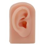 Oreq Kulak Modeli, Yumuşak Silikon Sağ İnsan Kulak Modeli Takı Ekranı için Kauçuk Sahte Kulak, Esnek Yapay Gerçek Kulak Kalıbı, Kulak Ekranı Piercing Uygulaması için Öğretim Yardımı,(Koyu)