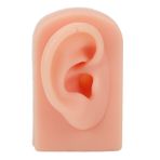Oreq Kulak Modeli, Yumuşak Silikon Sağ İnsan Kulak Modeli Takı Ekranı için Kauçuk Sahte Kulak, Esnek Yapay Gerçek Kulak Kalıbı, Kulak Ekranı Piercing Uygulaması için Öğretim(light)