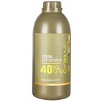 Organic Colour Systems 40 Volüm Aktivatör %12 No:3 1000 ml Oksidan