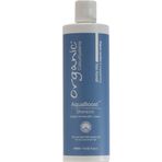 Organic Colour Systems Aqua Boost 400 ML Nemlendirici Şampuan