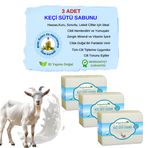Organicsun Doğal Keçi Sütü Sabunu 140 Gr Tüm Cilt Tipleri İçin Nemlendirici ve Yenileyici (3'lü)