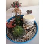 Organıcyou Ayak Bakım ve Çatlak & Koku Bıoterapi Kremi 100 ml