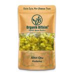 Organik Bitkim Altın Otu - Ölmez Çiçek / Kudama 500 gr