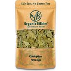 Organik Bitkim Okaliptus Yaprağı 150GR Doğal Taze - Kağıt Filtre