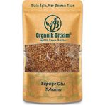 Organik Bitkim Süpürge Otu Tohumu 1 KG