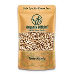 Organik Bitkim Tane Kişniş 1 kg