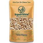 Organik Bitkim Tane Kişniş 100 gr