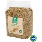 Organik Gurme Organik Yeşil Mercimek 1000 Gr - 1 kg