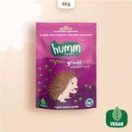 Organik Vegan Pancarlı Grissini 55 Gr