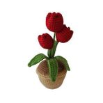 Örgü Kırmızı Üçlü Lale Amigurumi Organik Oyuncak
