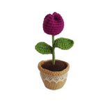 Örgü Tekli Mürdüm Lale Amigurumi Organik Oyuncak