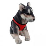 Orijin Köpek Göğüs Tasması M Kırmızı Gövdesi 30-35cm Arası Olan Köpeklere