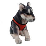 Orijin Küçük Köpek Göğüs Tasması S Turuncu Gövdesi 29-34cm Arası Olan Köpeklere