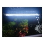 ORİONLED Aquaslim Serisi - 80 Cm Beyaz Akvaryum Led Lamba - Aydınlatma