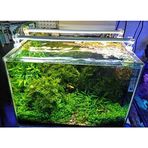 OrionLed Daylight 30 cm 3000K Akvaryum Led Aydınlatma