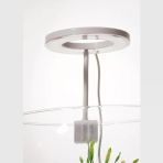 Orionled Goosneck Fanus & Nano Akvaryum Led Aydınlatma Oval Siyah