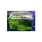 ORİONLED Orionbarled Bar Led Akvaryum Aydınlatması Beyaz 60cm 6500k