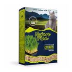 Oripet Nature Plan İnce Kedi Çimi
