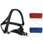 Oripet Tasma Yumuşak Dokulu Köpek Bel Tasması No:0 1-3kg Köpeklere