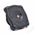 Orjinal 4256228 Motor Su Radyatörü Su Kapağı