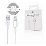 Orjinal Apple iPad mini Lightning USB Data Şarj Kablosu