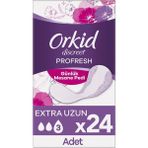 Orkid Mesane Pedi Uzun 24'lü Günlük Ped - L - XL