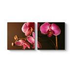 Orkide Art Tablosu 63 x 30-2 Parçalı
