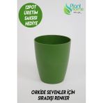 Orkide Saksısı Koyu Yeşil Dekoratif Dış Saksı 1 Adet- 12 Pot Şeffaf Orkide Üretim Saksısı Hediyeli