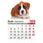 Orkide Takvim - Spiralli 12 Yaprak 32X47 cm - Köpek Resimli Kuşe Kağıt Duvar TAKVIMI-2026 - Çok Renkli