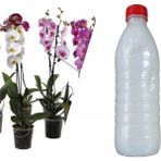 Orkideler İçin Özel İlaç Karışımı 500 ML