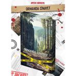 Ormanda Cinayet Dedektif Oyunu - Dava Çözme Oyunu - Suç Çözme Oyunu - Cinayet Oyunu Cinayet Çözme