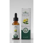 Ormanya Kantaron Yağı - 20 ml