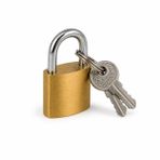 Orret Home 20 mm Pirinç Gövdeli Asma Kilit Anahtarlı Mini Kilit Paslanmaz Çelik Kanca Küçük Boy Güvenlik Kilidi Dolap Çanta Bavul Kilidi