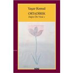 Ortadirek Dağın Öte Yüzü 1 - Yaşar Kemal