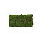 OSKARYUM Orkide Toprağı, Canlı Yosun, Spagnum Yosun, Teraryum Yosunu 1LT