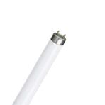 Osram HO 54W/865 Floresan