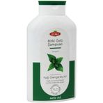 Otacı 400 ml Isırgan Otlu Normal Yağlı Saçlar İçin Dengeleyici Şampuan
