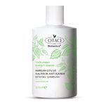 Otacı Botanics 375 ml Isırgan Otu ve Salisilik Asit Yağlanma Karşıtı Bitkisel Bakım Şampuanı