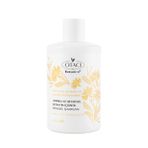 Otacı Botanics+ Şampuan Dolgunluk Hacim 375 ml