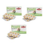 Otacı Diyet Oka Mentol 3x16 Adet Pastil