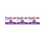 Otacı Meyan Balı 3x16 Pastil