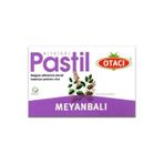 Otacı Meyanbalı Bitkisel Pastil 16 Adet ( 4 Kutu )